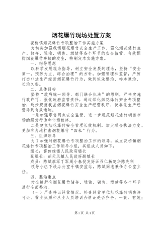 烟花爆竹现场处置实施方案