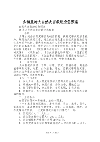 乡镇重特大自然灾害救助应急处置预案