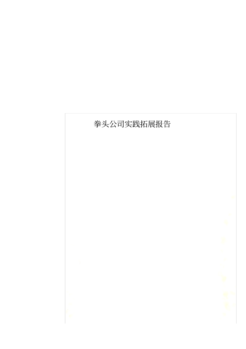 拳头公司实践拓展报告_第1页