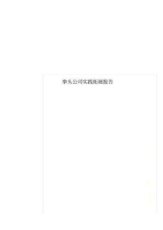 拳头公司实践拓展报告