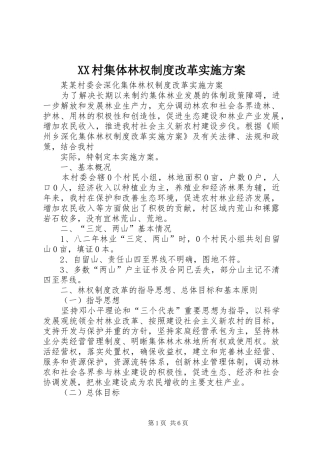 XX村集体林权制度改革方案