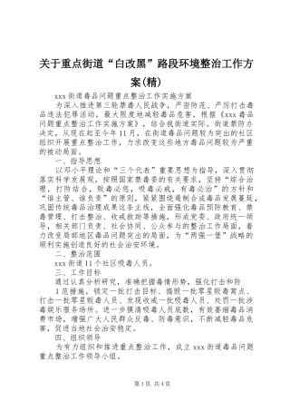 关于重点街道“白改黑”路段环境整治工作实施方案(精)