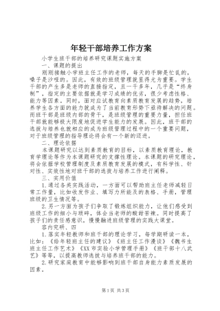 年轻干部培养工作实施方案