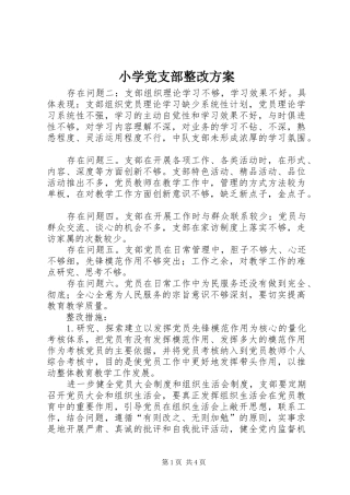 小学党支部整改实施方案