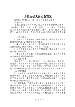乡镇自然灾害应急处置预案