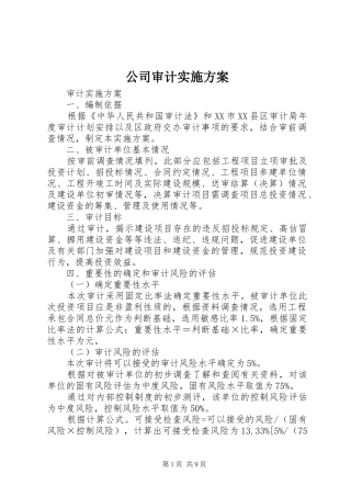 公司审计方案