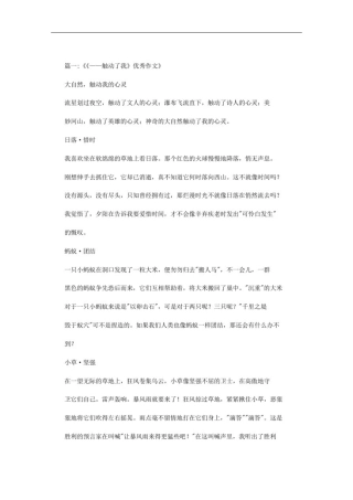 什么什么触动了我作文范文