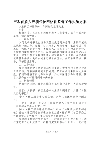 玉和苗族乡环境保护网格化监管工作方案