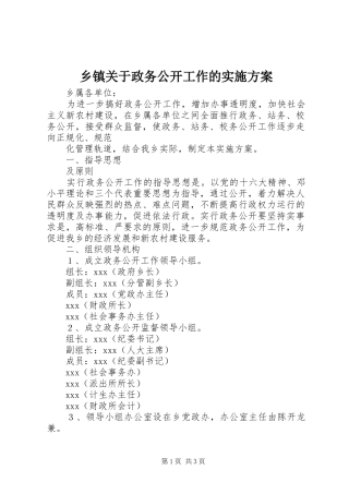 乡镇关于政务公开工作的方案