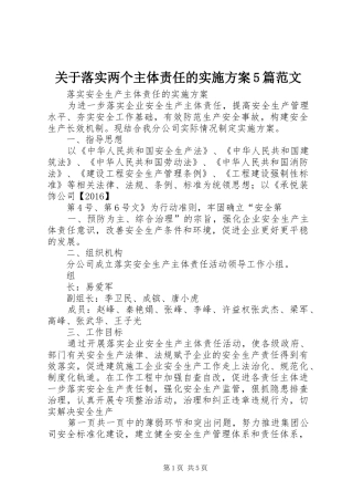 关于落实两个主体责任的方案5篇范文 (5)