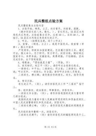 民兵整组点验实施方案