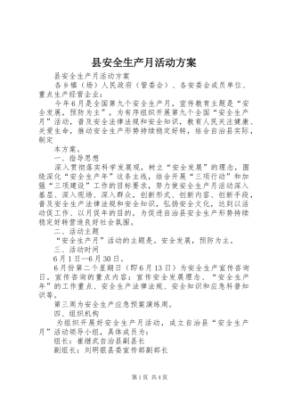 县安全生产月活动实施方案