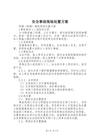 安全事故现场处置实施方案