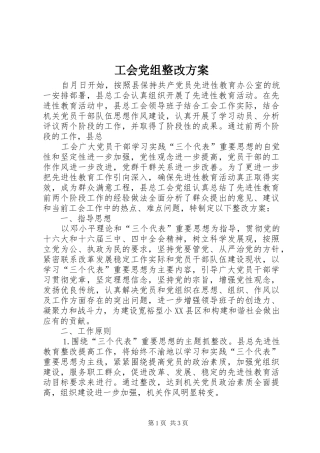 工会党组整改实施方案