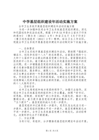 中学基层组织建设年活动方案