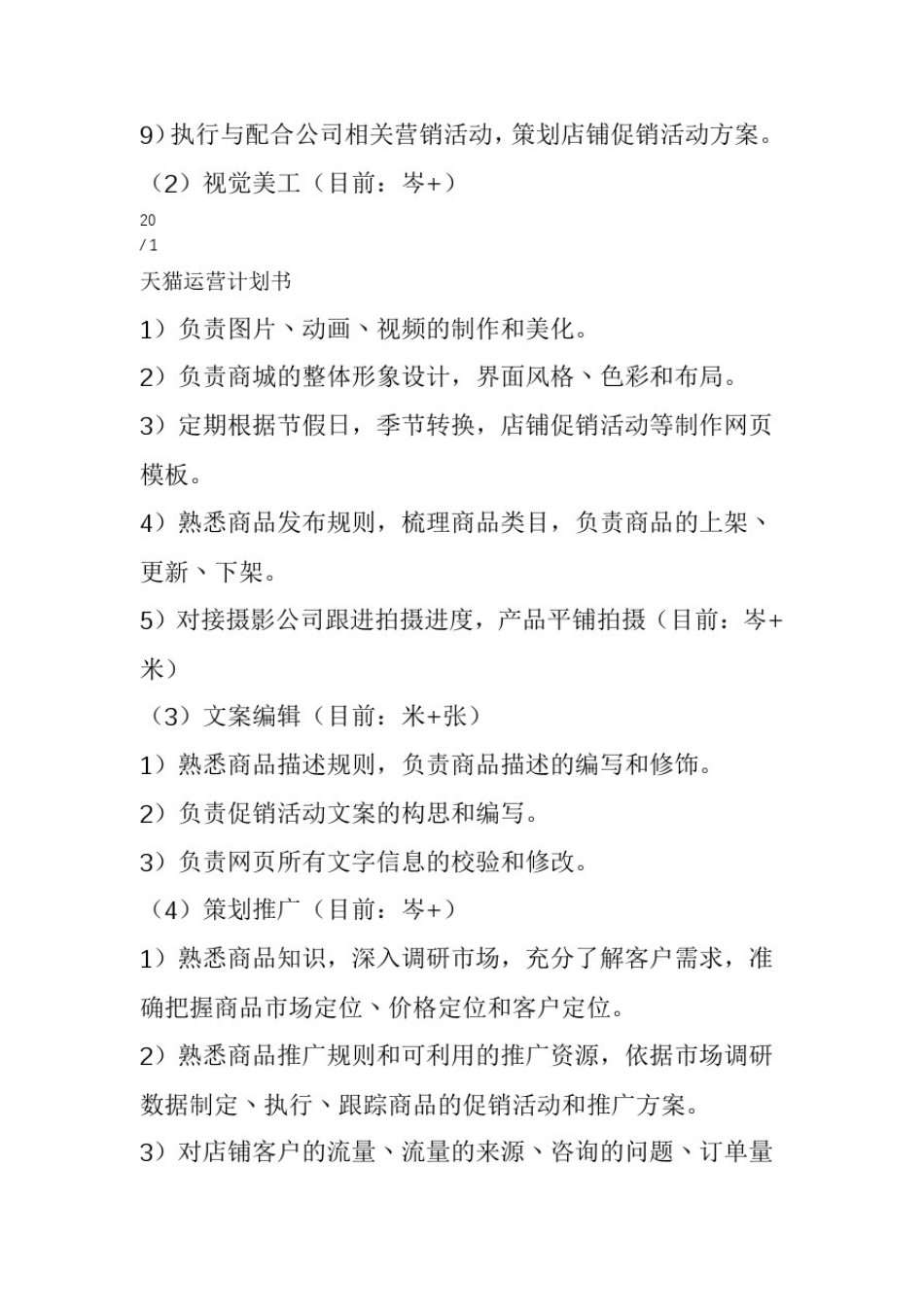 天猫运营计划书_第2页