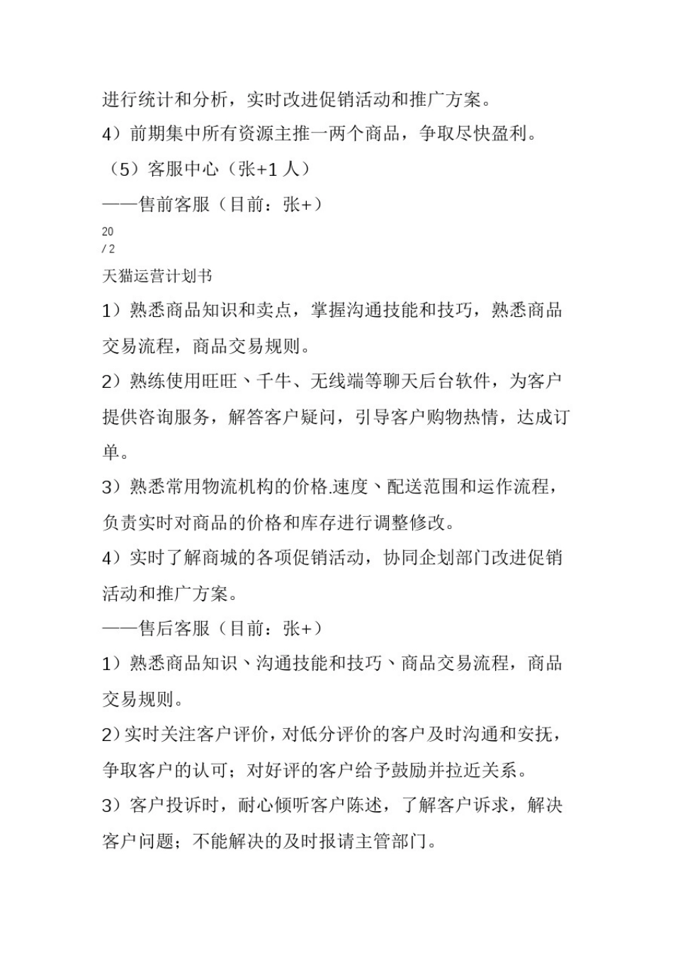 天猫运营计划书_第3页
