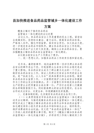 县加快推进食品药品监管城乡一体化建设工作实施方案
