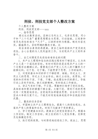 刑侦、刑技党支部个人整改实施方案