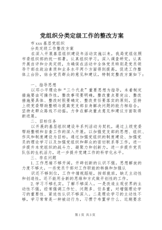 党组织分类定级工作的整改实施方案