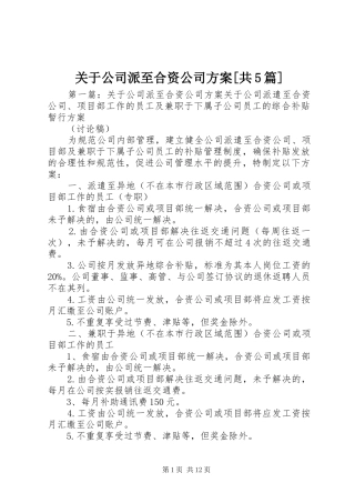 关于公司派至合资公司实施方案[共5篇]
