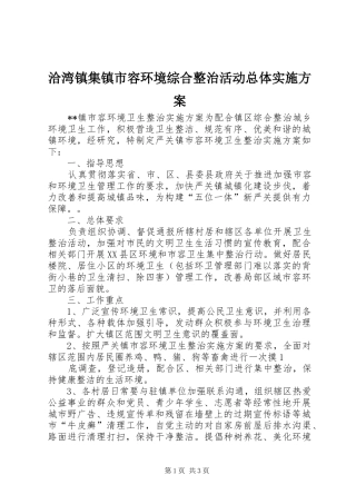 洽湾镇集镇市容环境综合整治活动总体方案