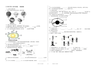 八年级生物下册识图题