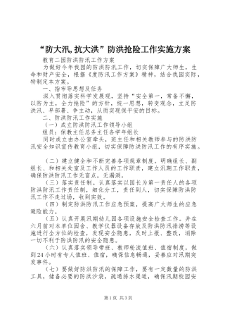 “防大汛,抗大洪”防洪抢险工作方案