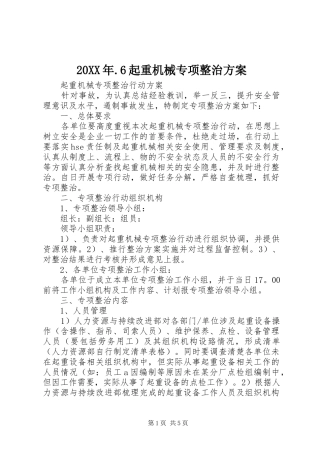 XX年6起重机械专项整治实施方案 ()