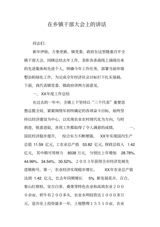 在乡镇干部大会上的讲话