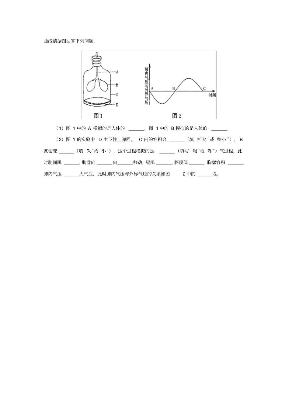 初中生物实验突破(通用版)：膈肌运动的模拟实验课后作业_第3页