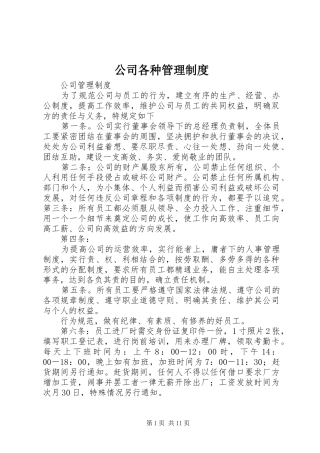 公司各种管理规章制度  (3)