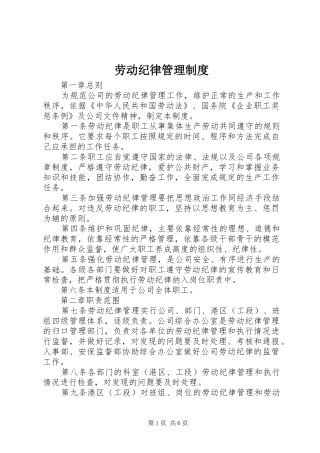 劳动纪律管理规章制度  (2)