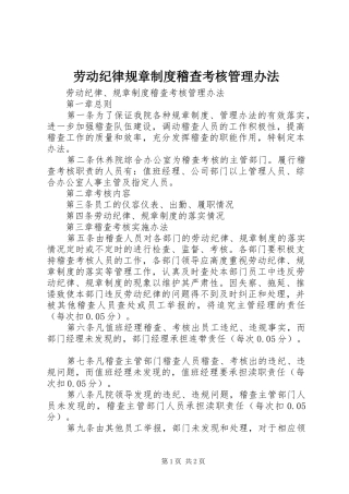 劳动纪律规章规章制度稽查考核管理办法 (2)