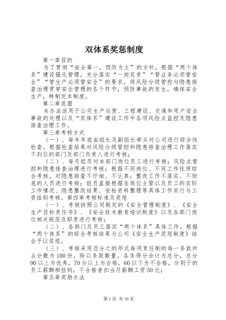 双体系奖惩规章制度