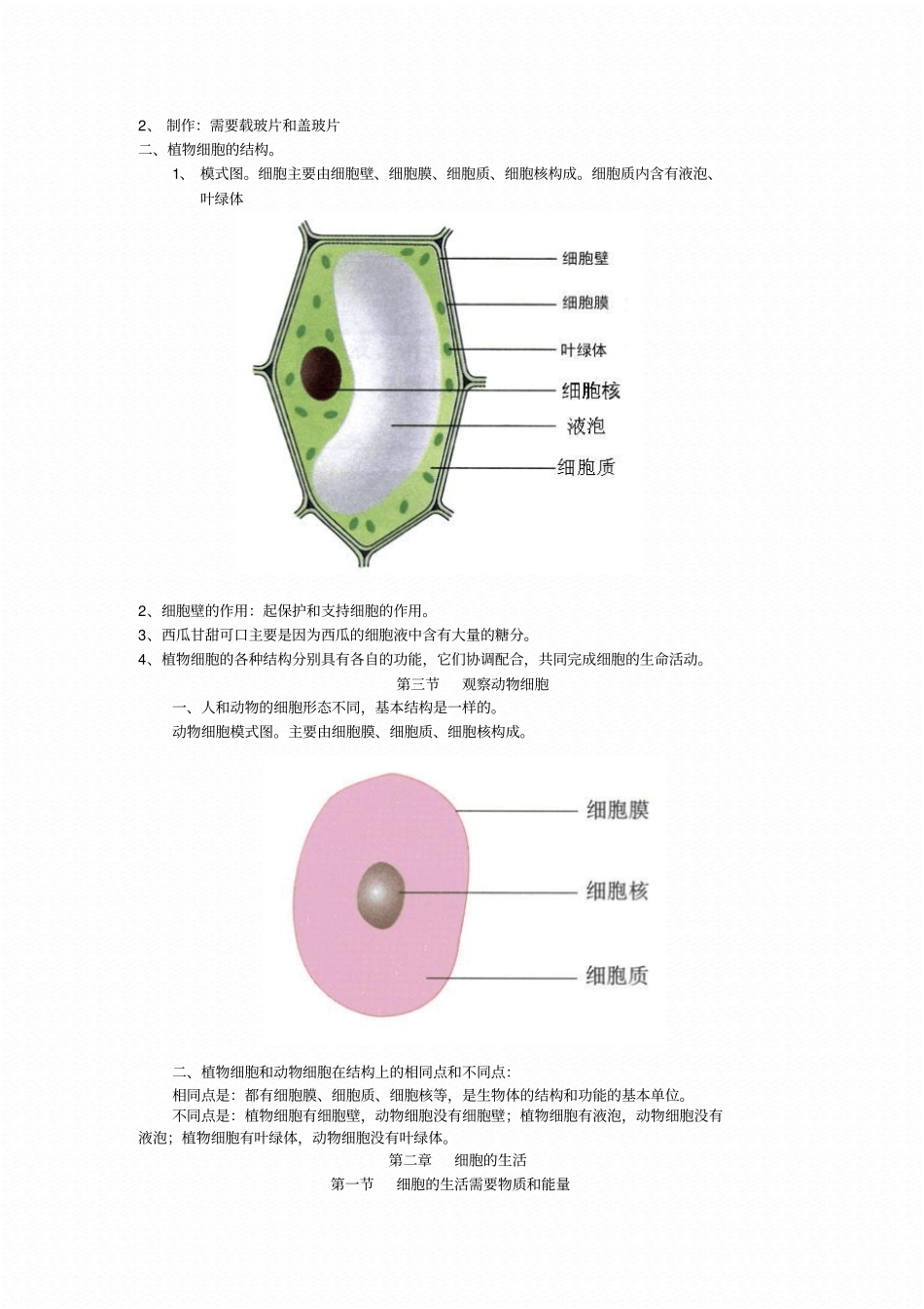 初中生物七年级上册复习提纲全册资料_第3页