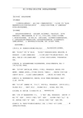 初三中考复习语文学案《成语运用选择题》