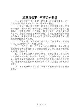 经济责任审计审前公示规章制度