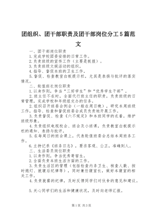 团组织、团干部职责要求及团干部岗位分工5篇范文