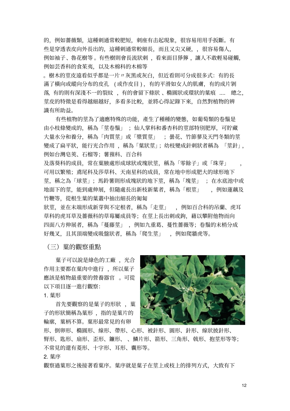 如何进行植物观察._第2页
