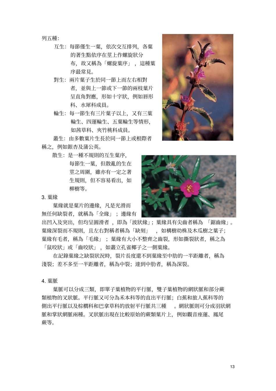 如何进行植物观察._第3页