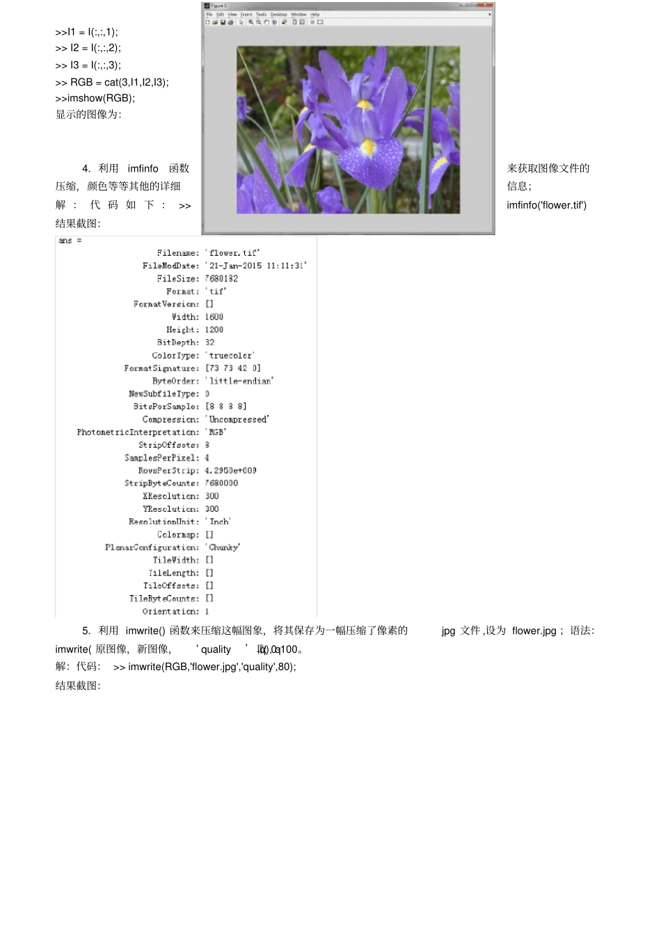 数字图像处理实验报告_第3页