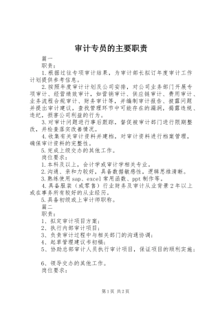 审计专员的主要职责要求