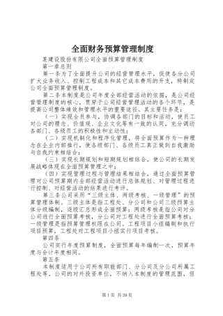 全面财务预算管理规章制度 