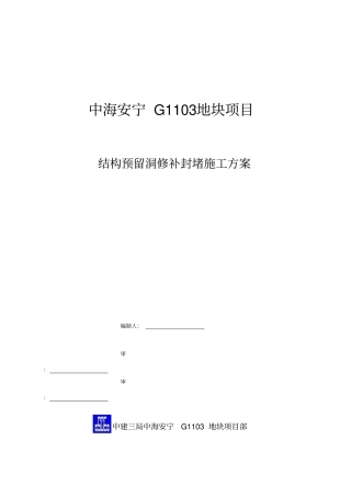 中海洞口修补施工方案