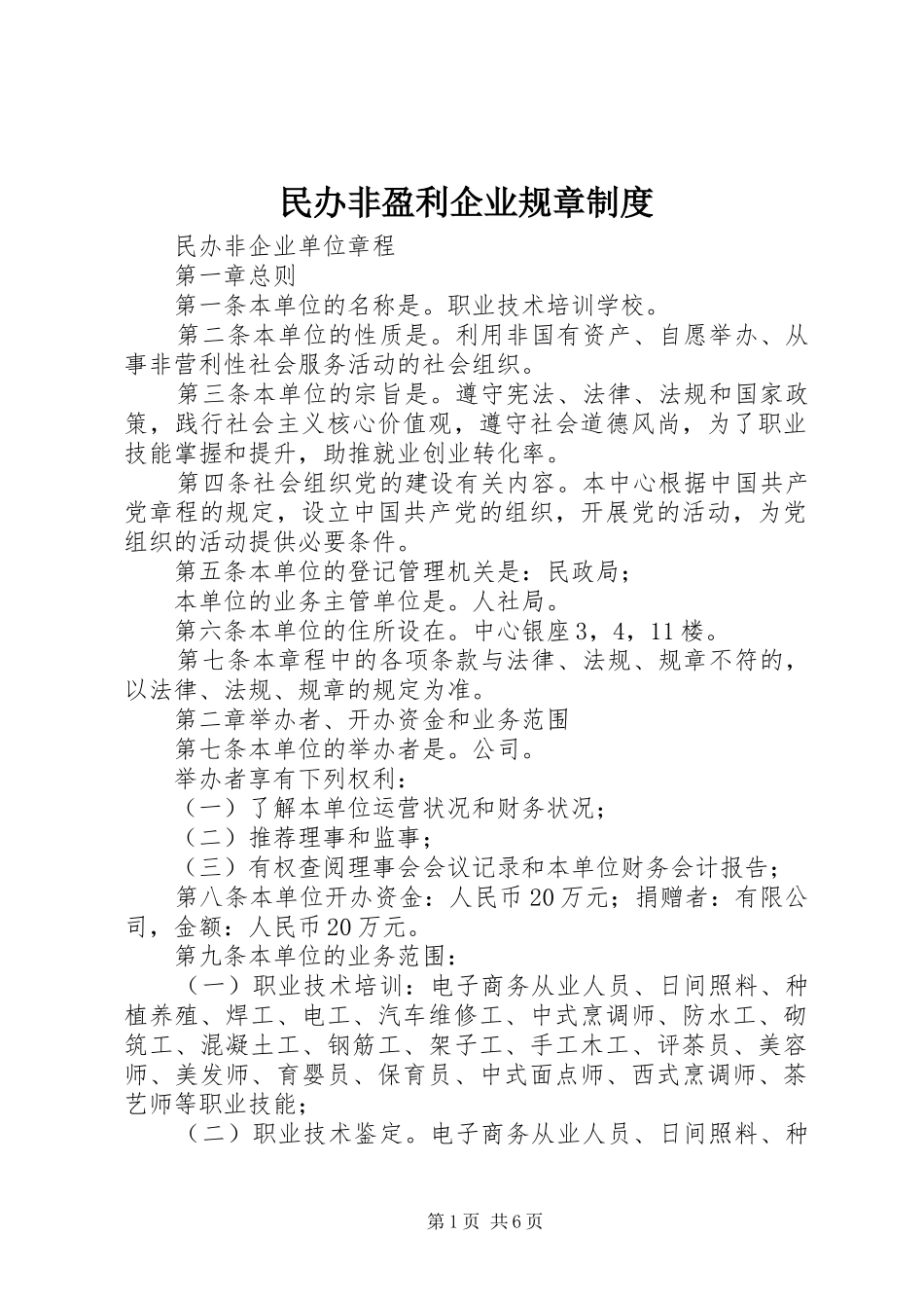 民办非盈利企业规章规章制度_第1页