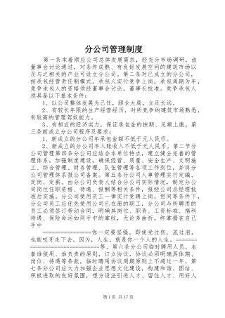 分公司管理规章制度 (2)