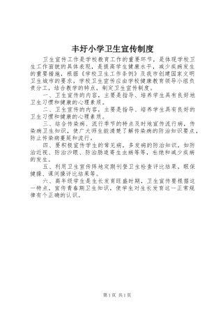 丰圩小学卫生宣传规章制度