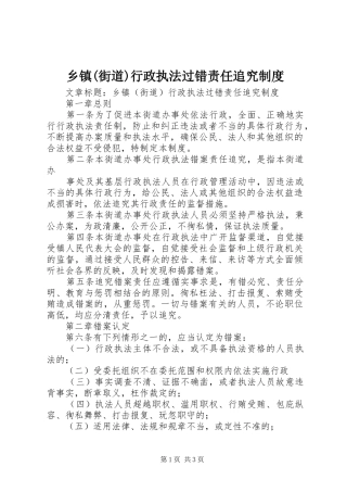 乡镇(街道)行政执法过错责任追究规章制度  (2)