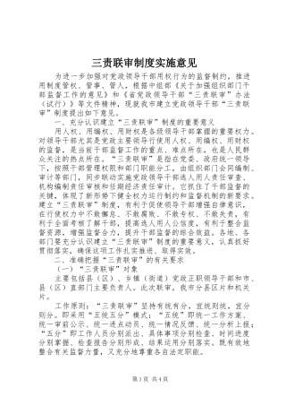 三责联审规章制度实施意见